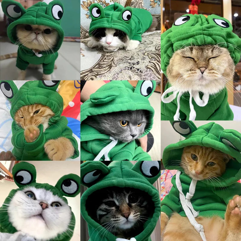 Cute Frog Hoodie for Pets