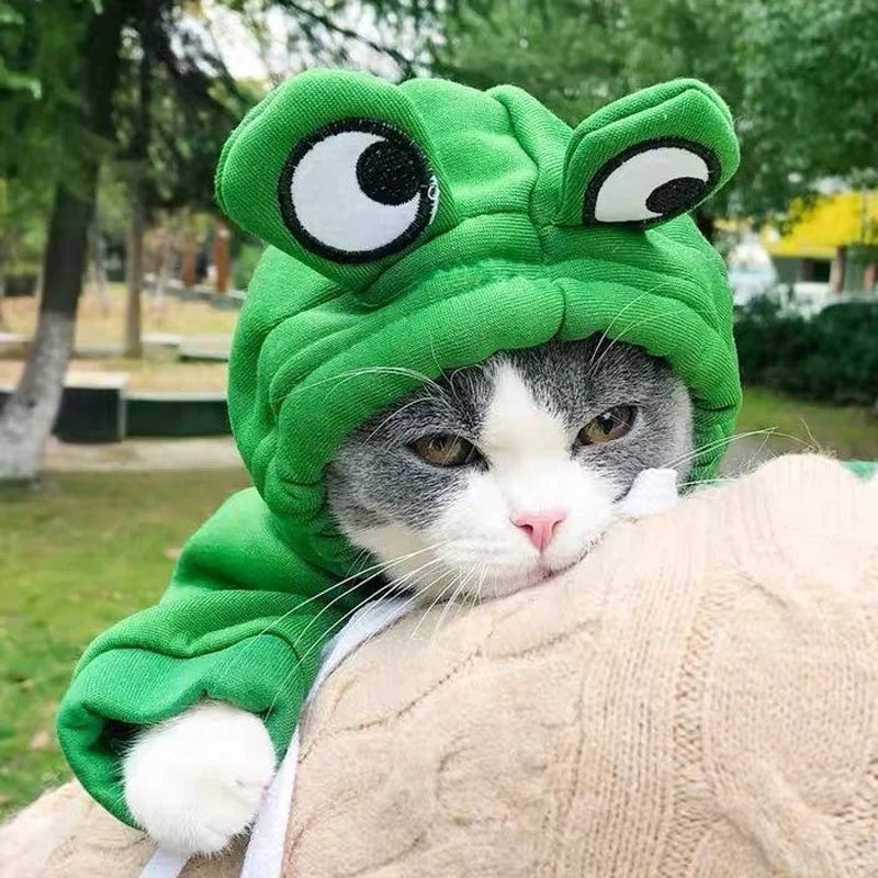 Cute Frog Hoodie for Pets